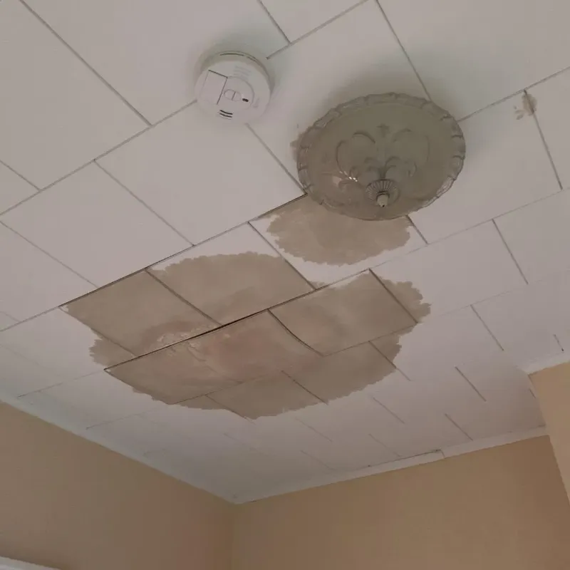 Ceiling Water Damage Repair in Marion, KS