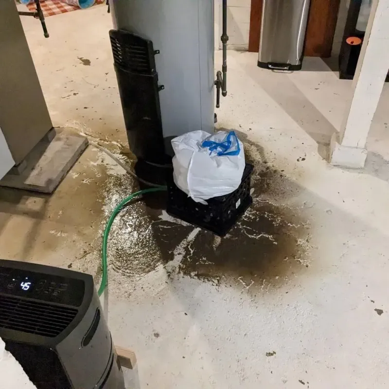 Sewage Backup Cleanup Service in Marion, KS